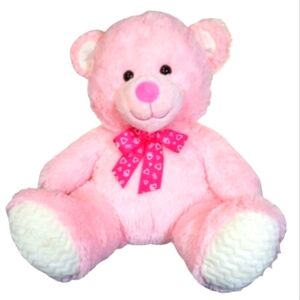Pink Plushie Teddy Bear with Heart Bow